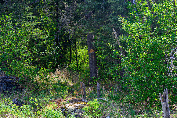 Portaging between North Prairie and Joey Lake.
