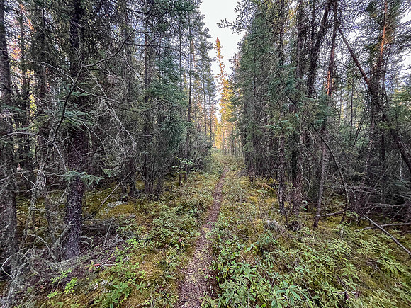 The 950m portage from Indian House to North Prairie Lake.