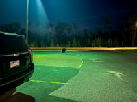 A black bear sneaks up on me in the parking lot!