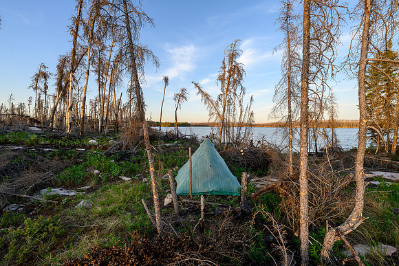 Crystal Lake tent site in the burn.