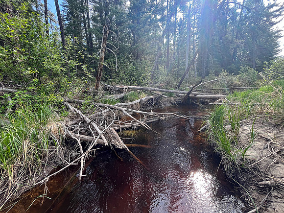 Traveling a small stream out of North Prairie towards Joey Lake.