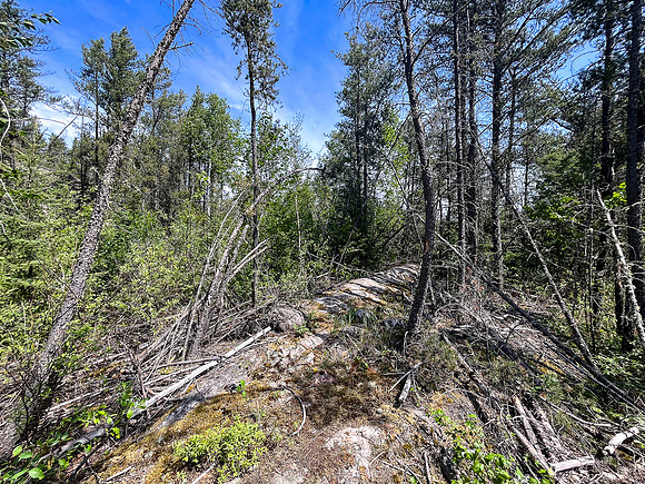 Portaging between North Prairie and Joey Lake.