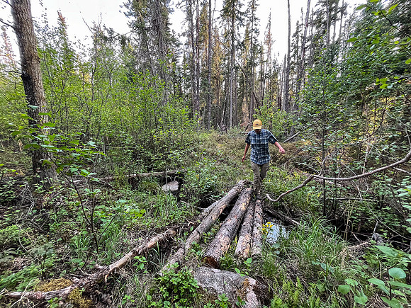 The 950m portage from Indian House to North Prairie Lake.