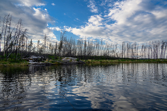 Joey Lake.