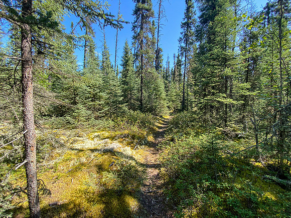 Portage between Settee and Colin Lake.