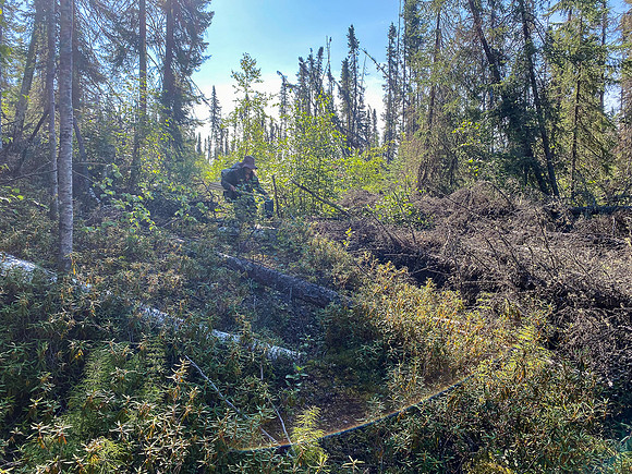 The 720m portage between Robertson and Solymos Lake.