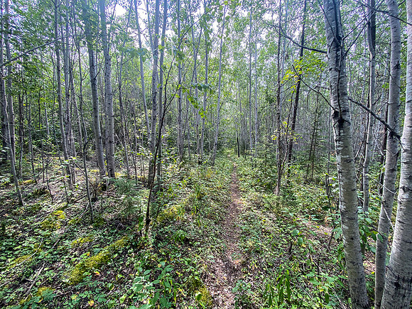 Portage up the Drinking River into Rink Lake past Brown Rapids.