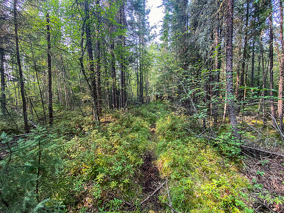 Portage into Dirks Lake.