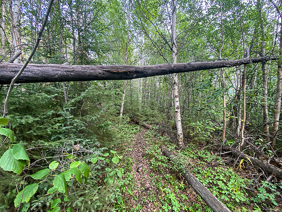 Portage between Wapassini and Dirks Lake.