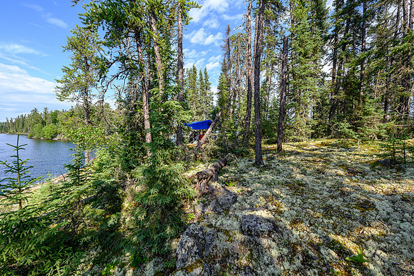 "Sunrise camp" on Robertson Lake.