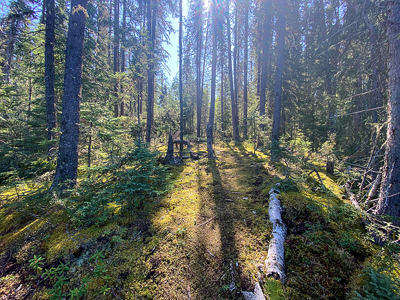 Portage between Solymos and Settee Lake.