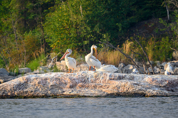 Grooming on Drope Lake.