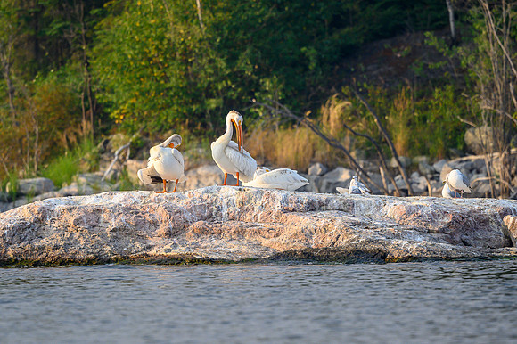 Grooming on Drope Lake.