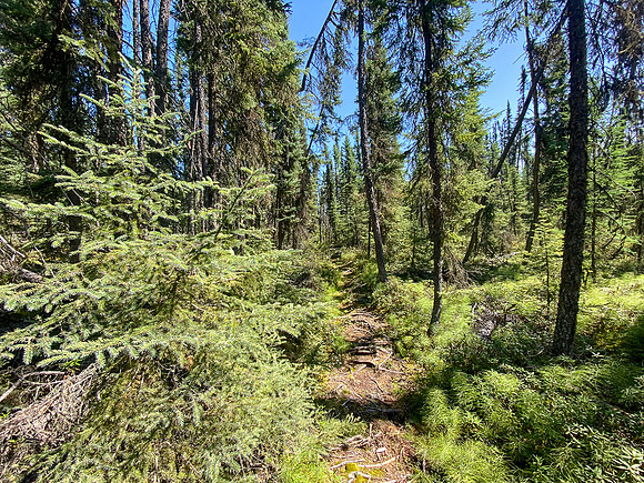 Portage between Settee and Colin Lake.