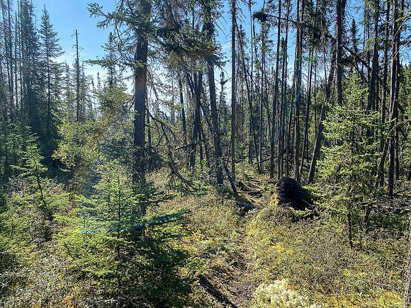 The 720m portage between Robertson and Solymos Lake.