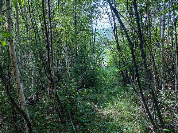 Portage along the Drinking River.