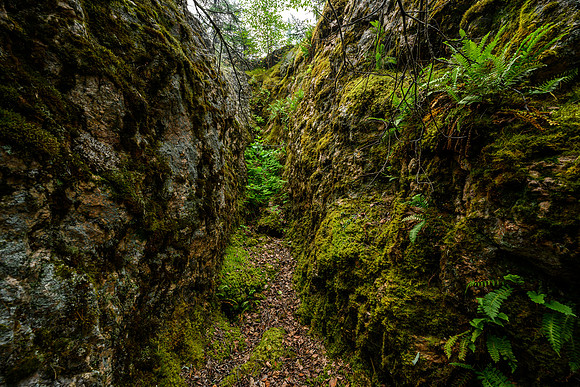 Exploring an old uranium mine site from the 1950's on Drope Lake.