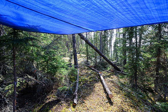 "Sunrise camp" on Robertson Lake.