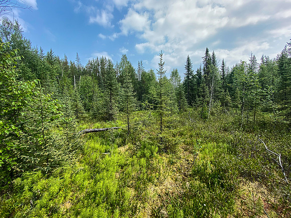 Portage between Wapassini and Dirks Lake.