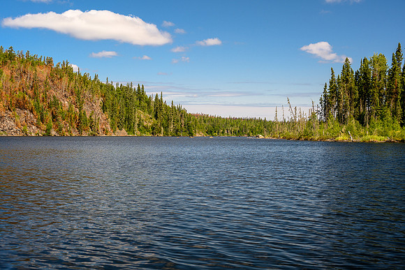 Recent burn on Settee Lake.