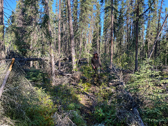 The 720m portage between Robertson and Solymos Lake.