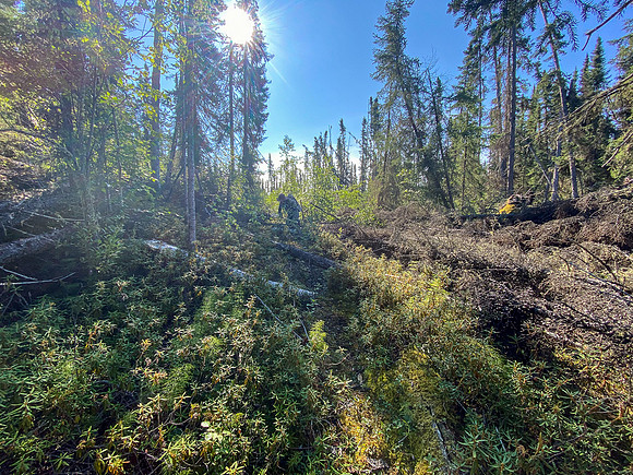 The 720m portage between Robertson and Solymos Lake.