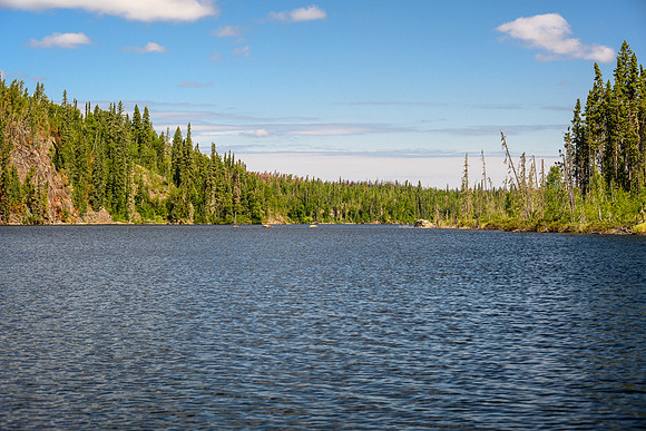 Recent burn on Settee Lake.
