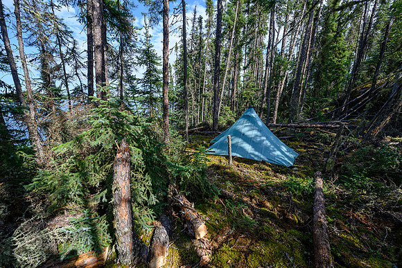 A fixed up tent site at sunrise camp on Robertson Lake.