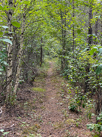 Portage up the Drinking River into Rink Lake past Brown Rapids.