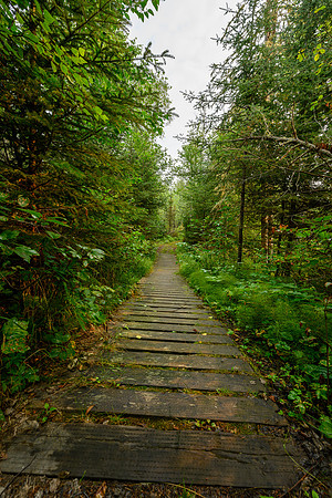 Old boardwalk on the trail to Nistowiak Falls.