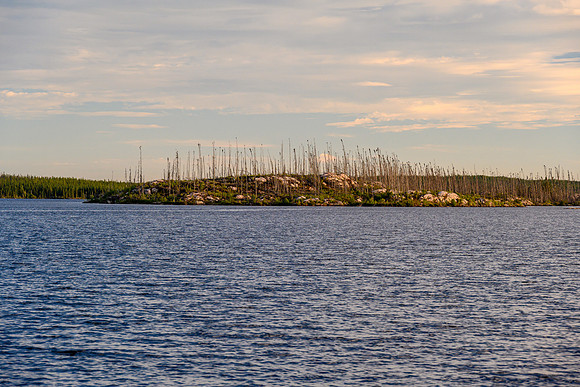 Davis Lake.