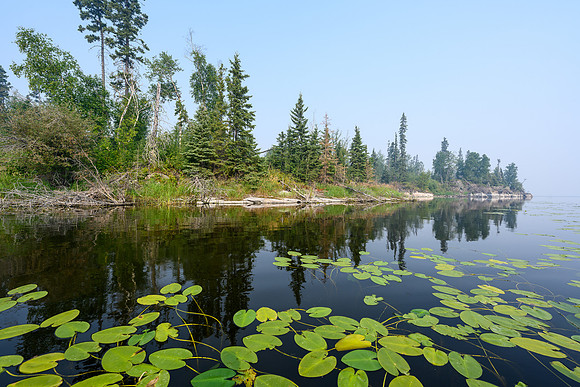 Paddling through Lily Pads on Drope Lake.