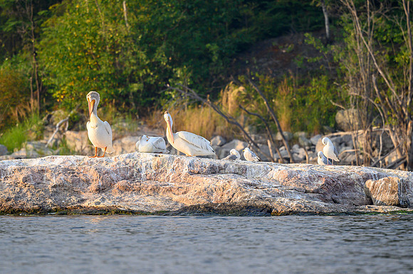 Grooming on Drope Lake.