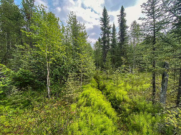 Portage between Wapassini and Dirks Lake.