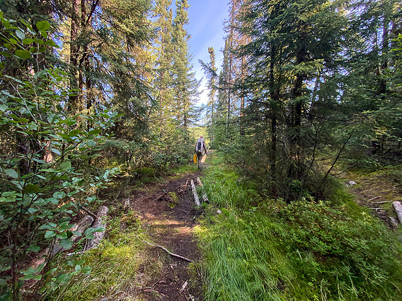 Portage between Minuhik and Davis Lake.