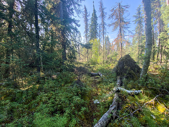 The 720m portage between Robertson and Solymos Lake.