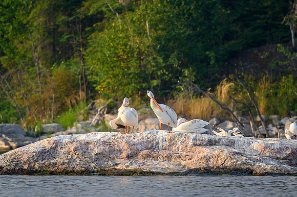 Grooming on Drope Lake.