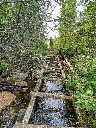 A makeshift canoe ladder between unnamed and Pitching Lake.