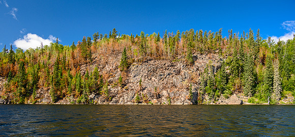 Recent burn on Settee Lake.