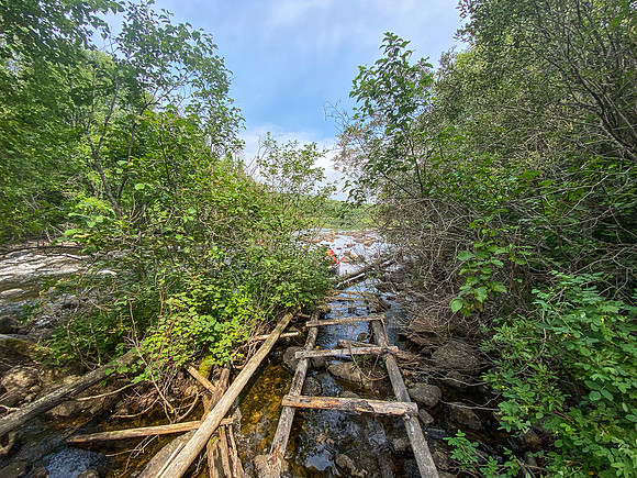 A makeshift canoe ladder between unnamed and Pitching Lake.
