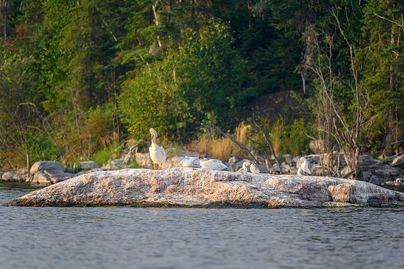 Grooming on Drope Lake.