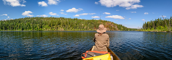 Recent burn on Settee Lake.