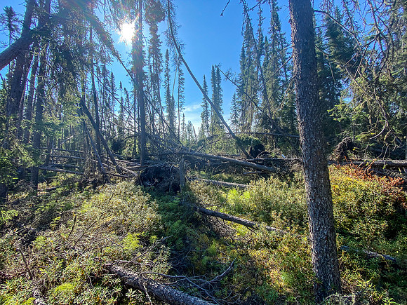 The 720m portage between Robertson and Solymos Lake.