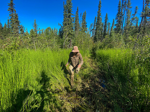 The 720m portage between Robertson and Solymos Lake.