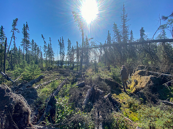 The 720m portage between Robertson and Solymos Lake.