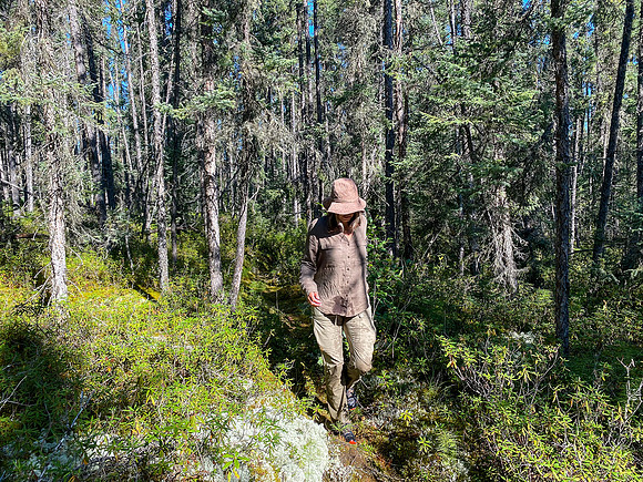 The 720m portage between Robertson and Solymos Lake.