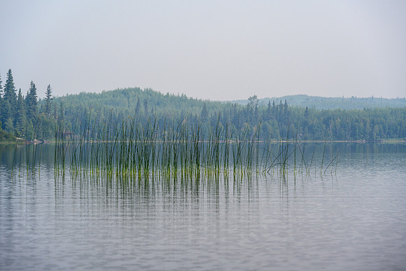 Pitching Lake.