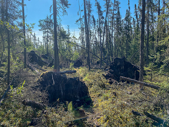 The 720m portage between Robertson and Solymos Lake.