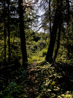 A decent trail once you're on it.