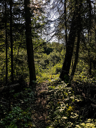 A decent trail once you're on it.